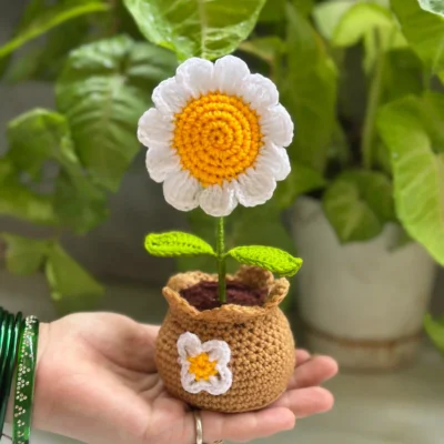 Daisy Crochet Flower Pot