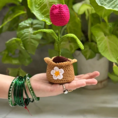 Handcrafted Tulip Crochet Flower Pot
