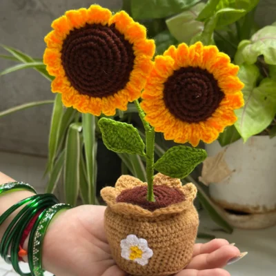Crochet Flower Pots